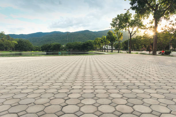 Best Driveway Paving Contractor  in Channel Lake, IL
